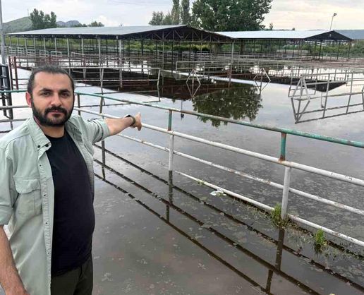 >Turhal'da hayvan pazarı sular altında kaldı
