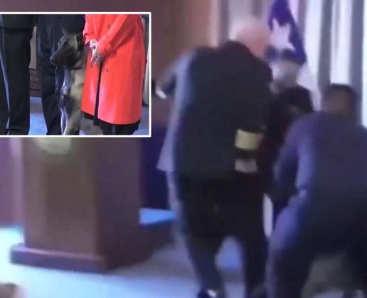 >Narkotik köpeği mezuniyet töreninde tümamirale saldırdı, 