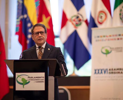 >PARLATİNO Başkanı Şahin : 6 Şubat deneyimimiz Venezuela'ya yol gösterici olacak