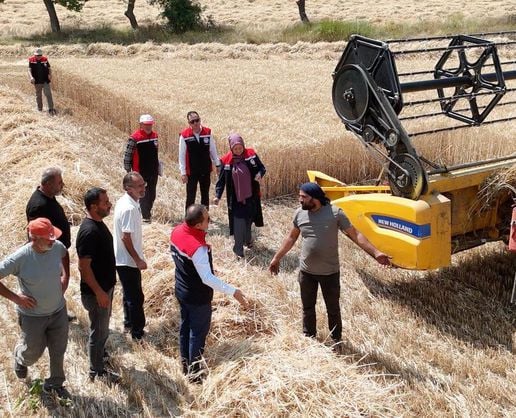 Erzincan’da buğday hasadı sürüyor, biçerdöverler denetlendi