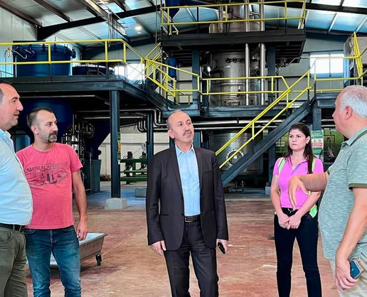 Balıkesir'de zeytin hasadı öncesi verimli sezon beklentisi