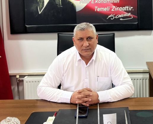Vezirköprü'de Ayçiçeği Hasadı Başladı