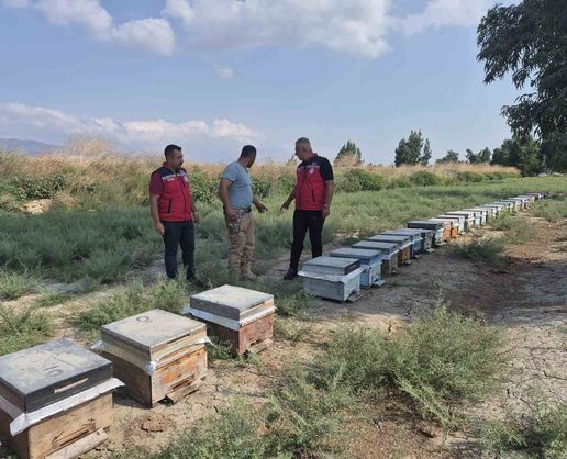 Hatay'da Arıcılık İşletmesine Bal Sağım Sezonu Ziyareti