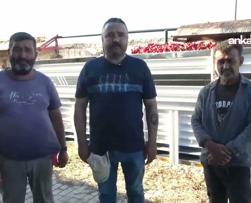 Kınıklı çiftçiler: Türkiye'de tarım politikası, tarımı bitirmek üzere kurulmuş