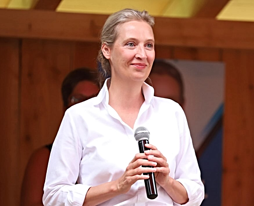 AfD'nin zaferi sonrası Alice Weidel'den Avrupa'yı karıştıracak açıklamalar: Paralarımızı geri istiyoruz