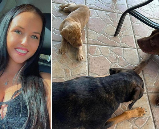 ABD'de iki çocuk annesi kadın, eşi tarafından köpeğiyle ilişkiye girerken yakalandı