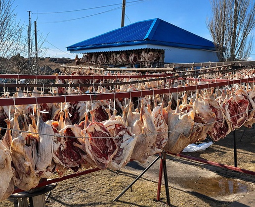 Zam furyasından o da nasibini aldı! Bu yılki fiyatı cep yakıyor