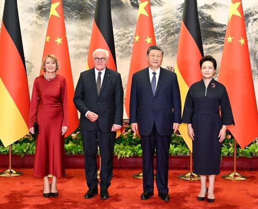 Xi Jinping ile Almanya Cumhurbaşkanı Steinmeier Beijing'de bir araya geldi