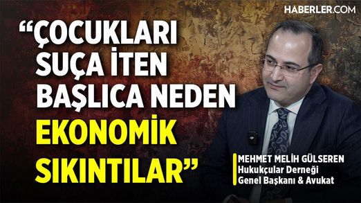 Avukat Melih Gülseren: Caydırıcılığın Olabilmesi İçin İlk Bulaşılan Suçta İşlem Yapılması Gerekiyor