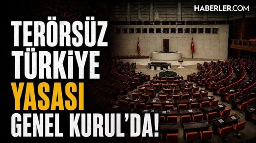 Çerçeve Yasa, TBMM Genel Kurulu'nda Görüşülüyor...