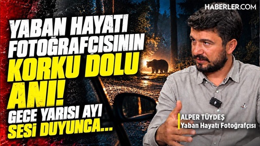 Yaban Hayatı Fotoğrafçısı Alper Tüydeş: Bolu Yaylasında Ayı Sesini Duyunca…