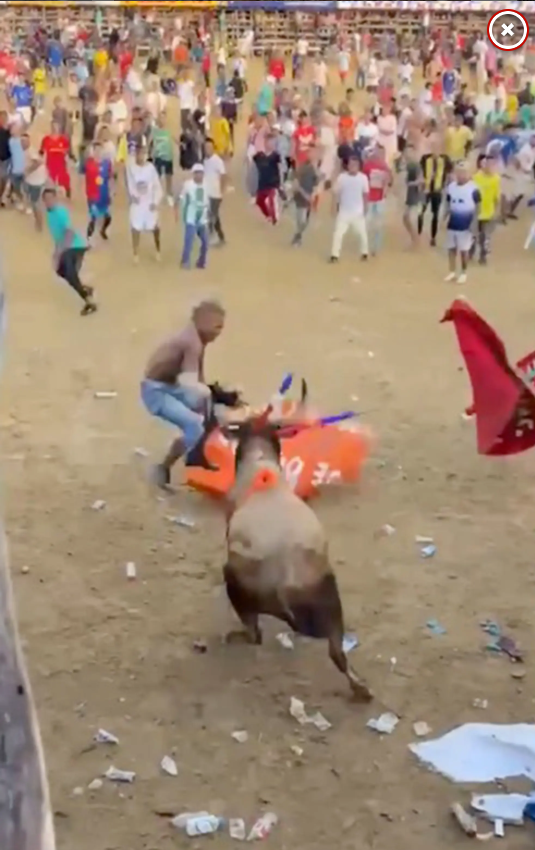 Boğa güreşi festivalinde matador aldığı boynuz darbesi ile feci şekilde can verdi
