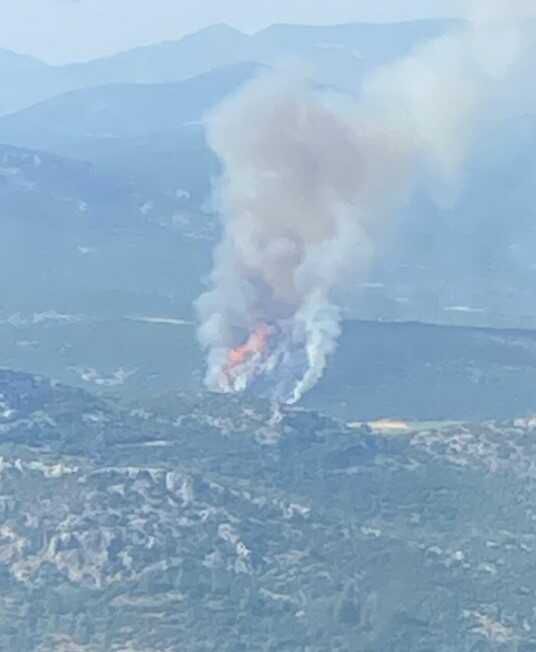 Gaziantep'te Orman Yangınına Havadan ve Karadan Müdahale