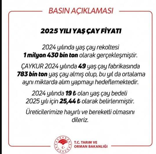 Yaş çay alım fiyatı kaç TL oldu 2025?