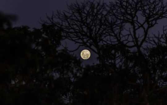 Kova burcunda dolunay ne zaman, saat kaçta? 1 Ağustos kova burcu dolunayı burçlara etkileri nelerdir?