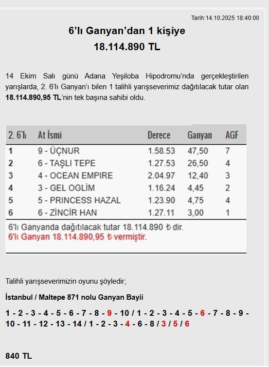 Adana'da Tırmanan Zafer: Tek Kuponla 18 Milyonluk İkramiye İstanbul'dan Yayıldı