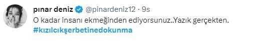 Kızılcık Şerbeti dizisi RTÜK'ün kararıyla yayından kaldırıldı! Ünlü isimler tepki gösterdi