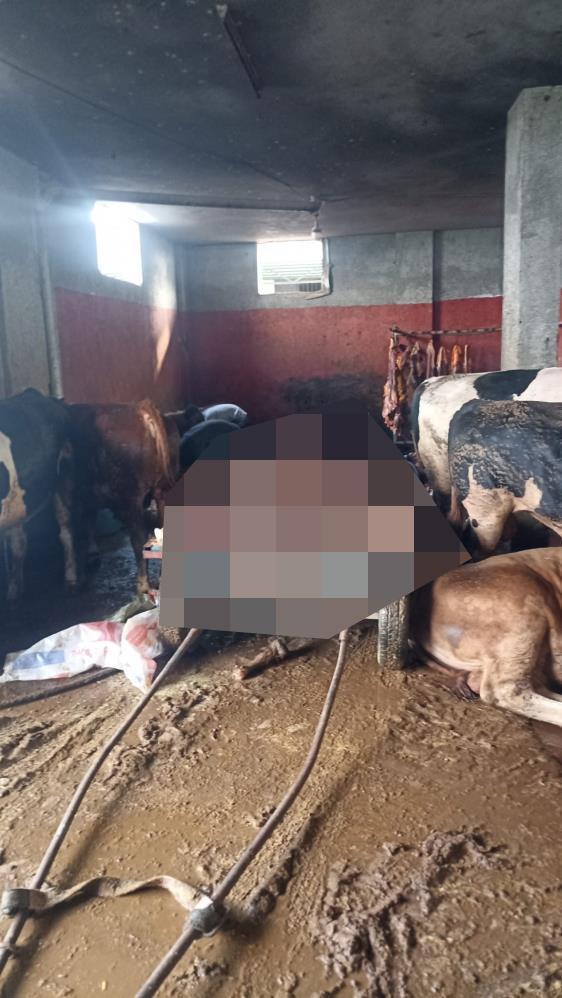 Kebabın başkentinde evde at keserken suçüstü yakalandılar