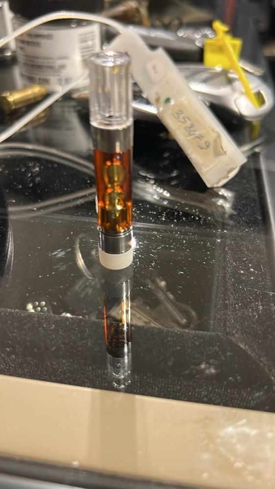 Uyuşturucu operasyonunda gözaltına alınan Ezgi Eyüboğlu bakın nerede yakalandı