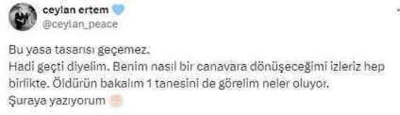 Sokak hayvanlarıyla ilgili düzenlemeyi gören Ceylan Ertem tehditler savurdu