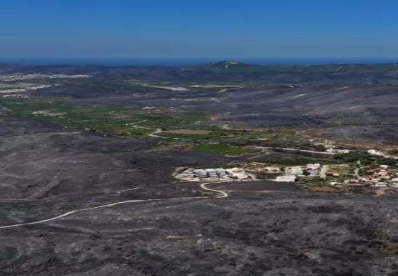3 şehrimizde orman yangınları tamamen kontrol altına alındı