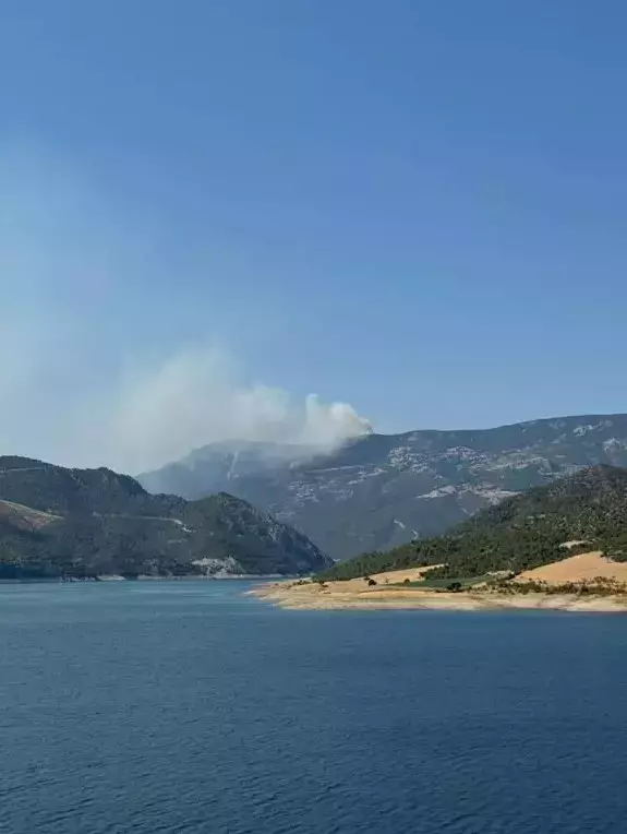 Sinop'ta orman yangını! Bir köy tahliye edildi