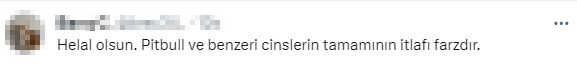 Kendisine ve kızına saldıran pitbull'u çekip vurdu! O anlar kamerada