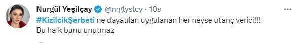Kızılcık Şerbeti dizisi RTÜK'ün kararıyla yayından kaldırıldı! Ünlü isimler tepki gösterdi