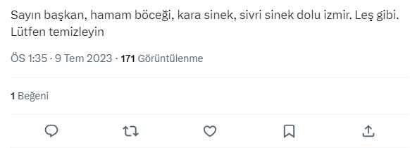 İzmirlilerin sivrisinek isyanı: Yeterli ilaçlama yapılmıyor