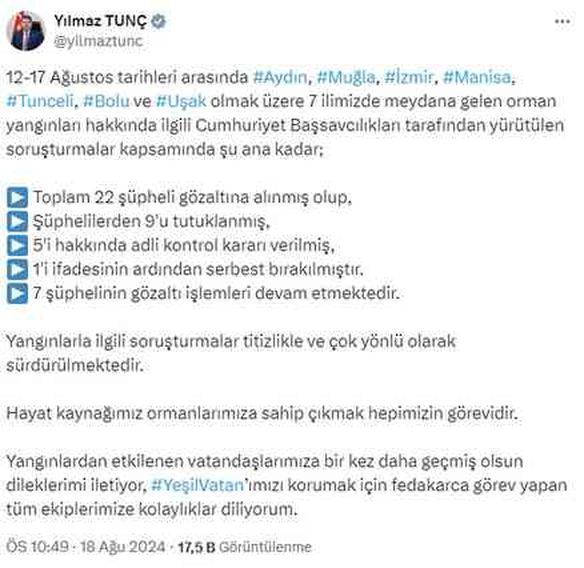 7 şehirdeki orman yangınlarında 9 tutuklama
