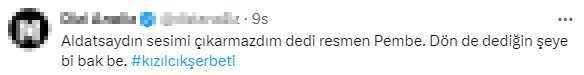 Kızılcık Şerbeti'nde ihanete uğrayan Pembe'nin 'Hevesini alıp gelseydin' demesi tepki çekti