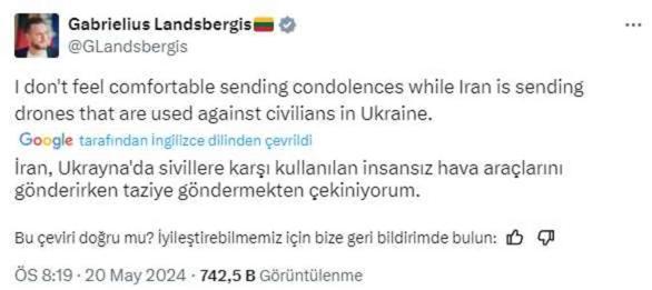 Litvanya Dışişleri Bakanı: Reisi'ye taziye göndermekten çekiniyorum