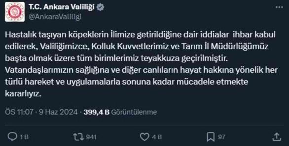 'Kuduz köpek' iddiası Ankara Valiliği'ni teyakkuza geçirdi