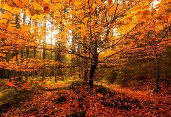 Eylül ayı sözleri: Hoş geldin Eylül ayı sözleri, Eylül ile ilgili sözler