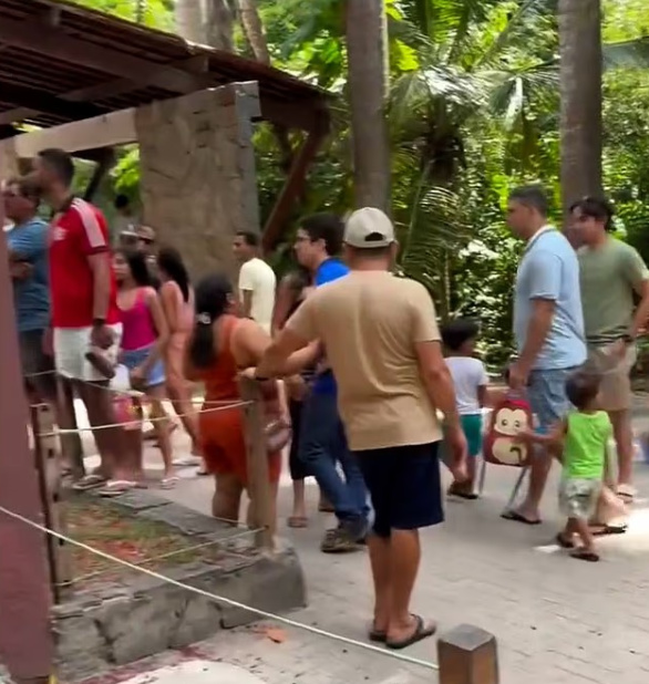 Tutkusu sonu oldu! 6 metrelik duvarı aşıp aslan kafesine girdi, sonrası facia