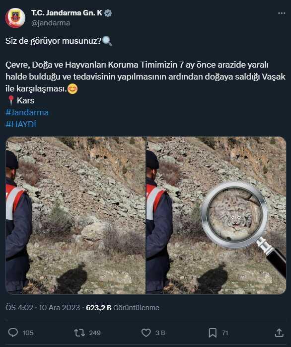 Jandarma Genel Komutanlığı paylaştı: Vaşağı görebildiniz mi?