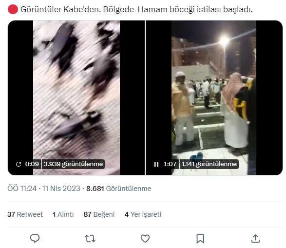 Kabe'nin hamam böceği istilasına uğradığı iddiası