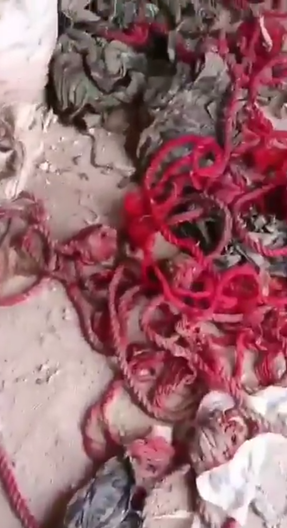 Suriye'de İşkence Hapishanesi Sednaya Boşaltıldı