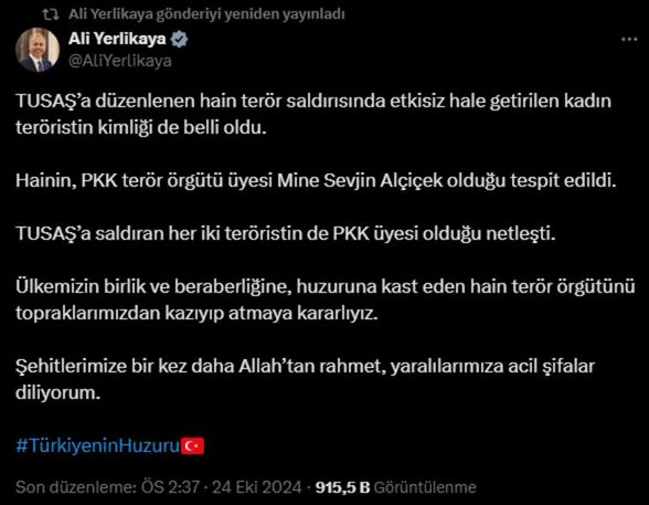 Mine Sevjin Alçiçek HDP (DEM Parti) üyesi mi? Mine Sevjin Alçiçek kimdir?