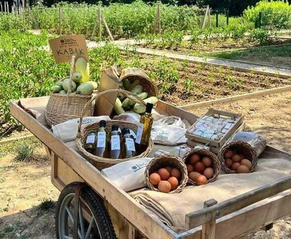 Ünlü oyuncu İlker Ayrık ve eşi çiftliklerindeki yeni hayatlarını anlattı