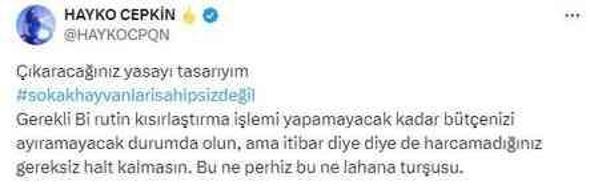 Sokak hayvanlarıyla ilgili düzenlemeyi gören Ceylan Ertem tehditler savurdu