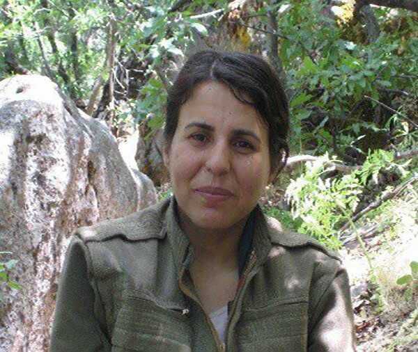 Bitlis'te çıkan çatışmada gri kategoride bulunan terörist etkisiz hale getirildi