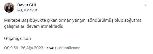 İstanbul Maltepe'de orman yangını çıktı, ekipler bölgeye sevk edildi