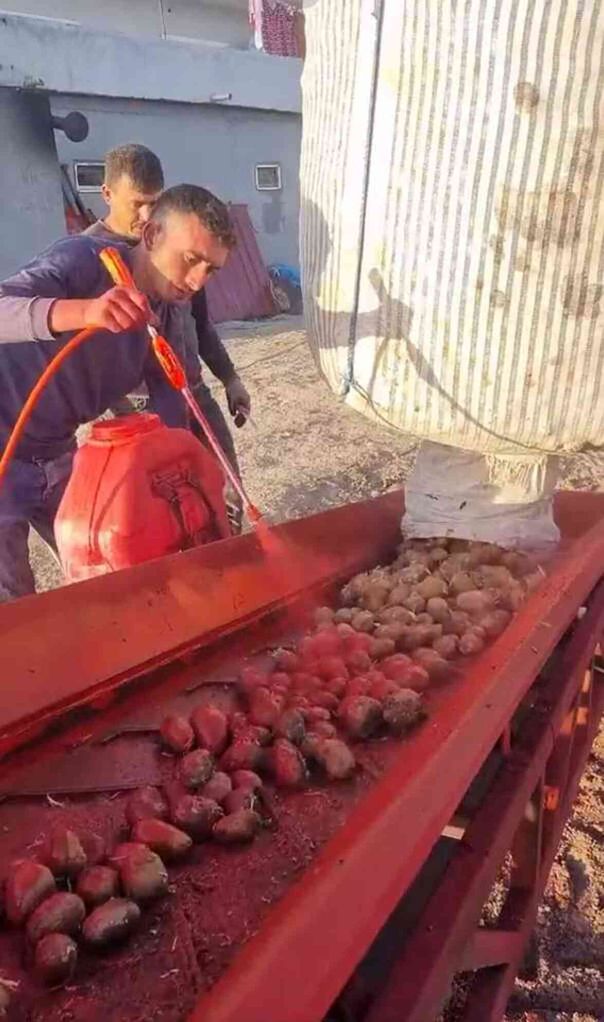 Üreticilerin paylaştığı patates ilaçlama görüntüleri tepki çekti