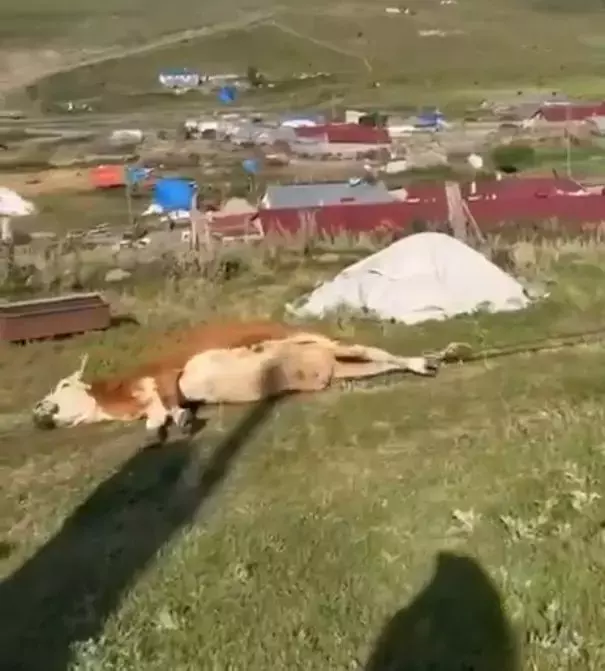 Bir ilimizde durum vahim! 'Nerede bu yetkililer' diyerek isyan etti: Allah sen yardım et