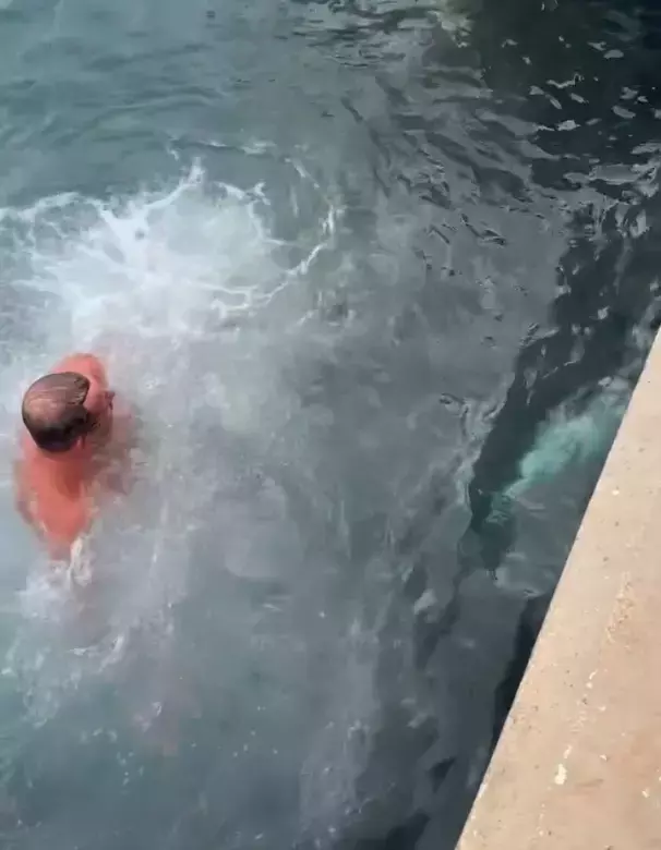 Soğuk engel olmadı, buz gibi suya girip 1.5 metrelik orkinos avladı