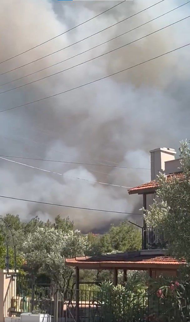 Çeşme ve Urla'da yangın! Bazı mahalleler tahliye edildi
