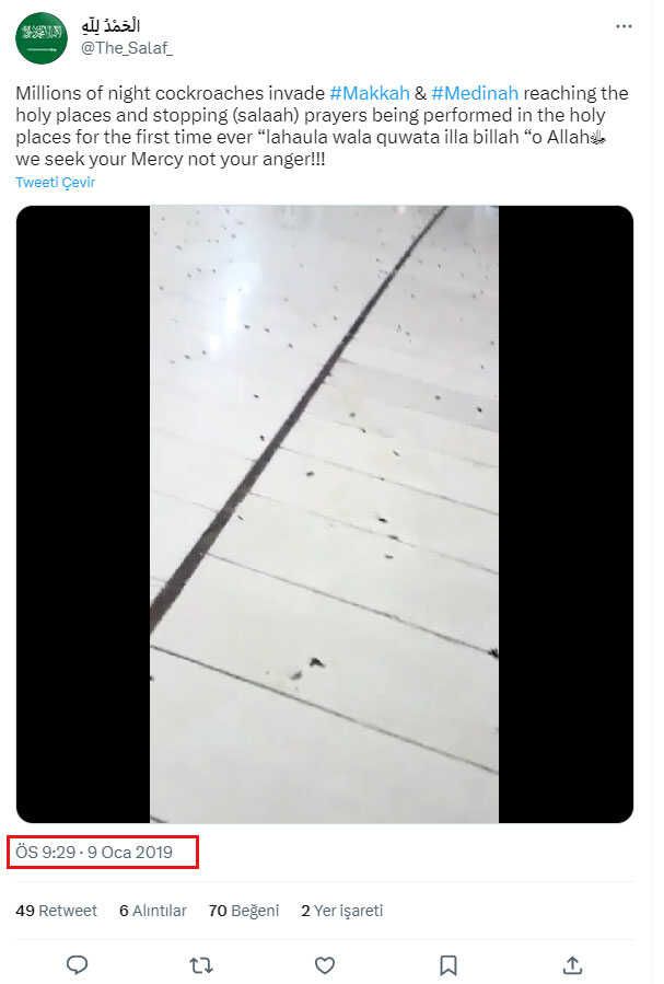 Kabe'nin hamam böceği istilasına uğradığı iddiası