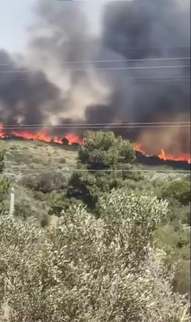 Çeşme ve Urla'da yangın! Bazı mahalleler tahliye edildi