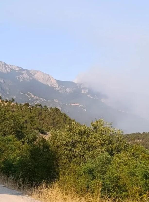 Sinop'ta orman yangını! Bir köy tahliye edildi